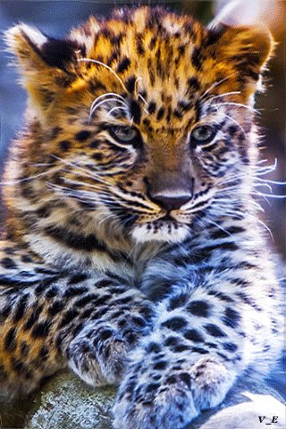 file_73456407