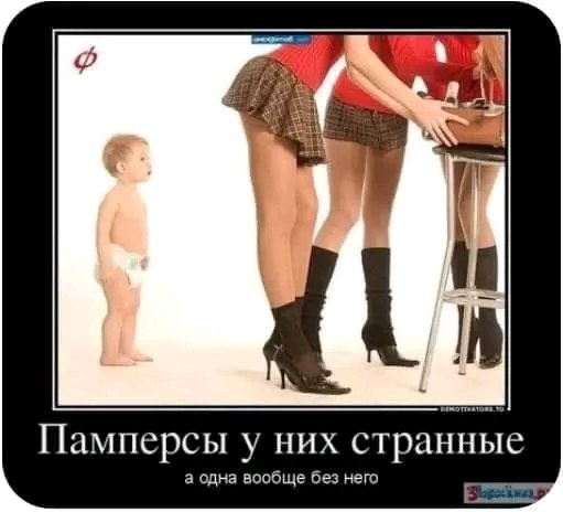 file_98762065