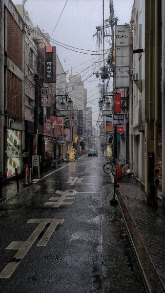 file_101005549