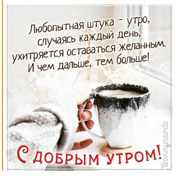 IMG-20260123-WA0001