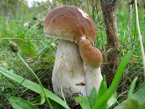 04.10.14 - 1 (1)