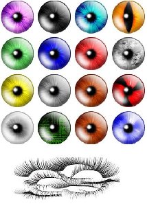 Eyes
