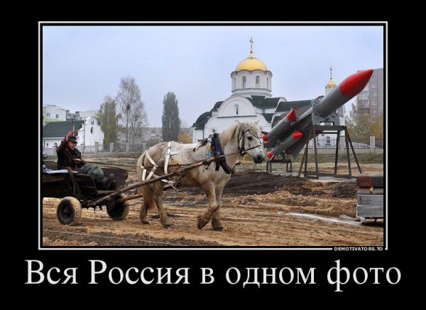 file_65624995