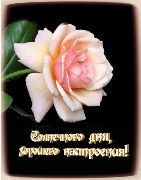 СДРЖ