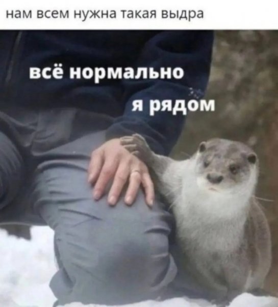 file_102579490