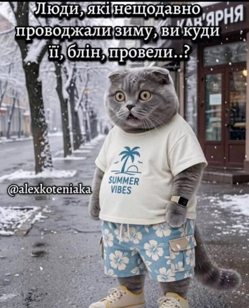 FB IMG 1777225620647