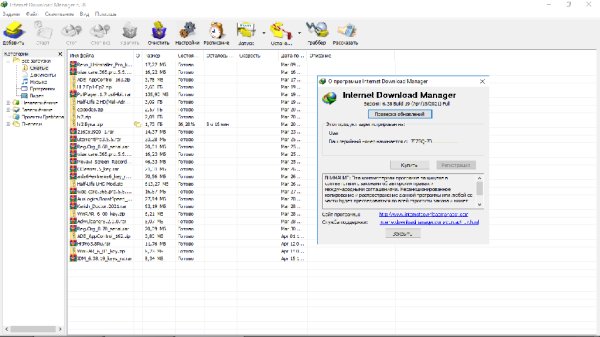 Internet Download Manager 6.38.19 и серийный номер