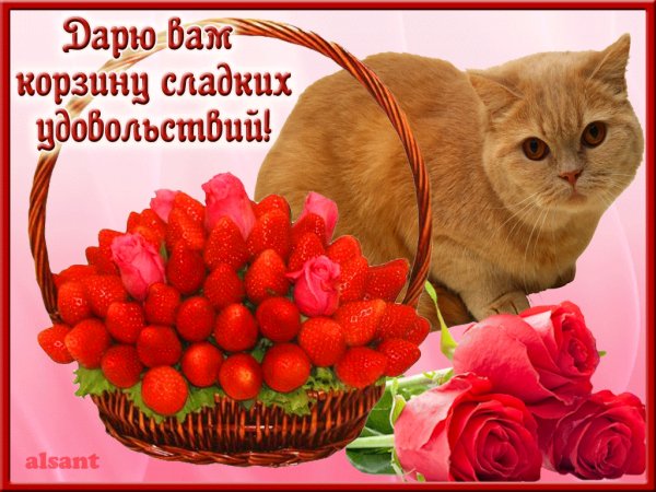 gif 1464541818