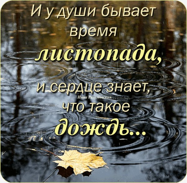 IMG 20201021 230743