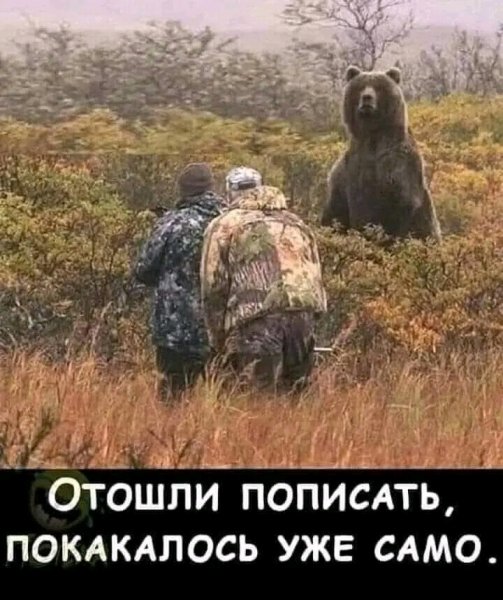 file_100467377
