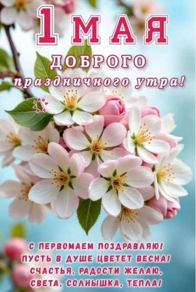 IMG 20260502 235223