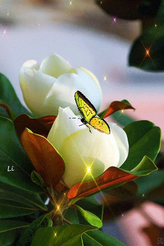 file_68155296
