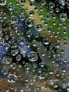 file_66808454
