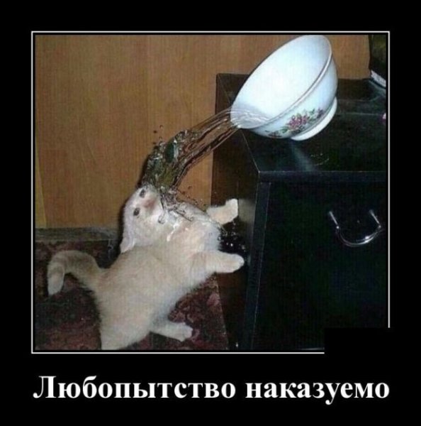 file_75588873