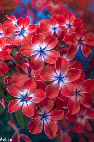 file_97326017