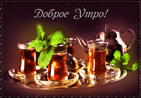 IMG 20220615 114945
