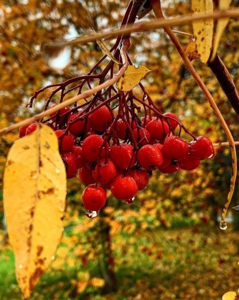 file_94982968
