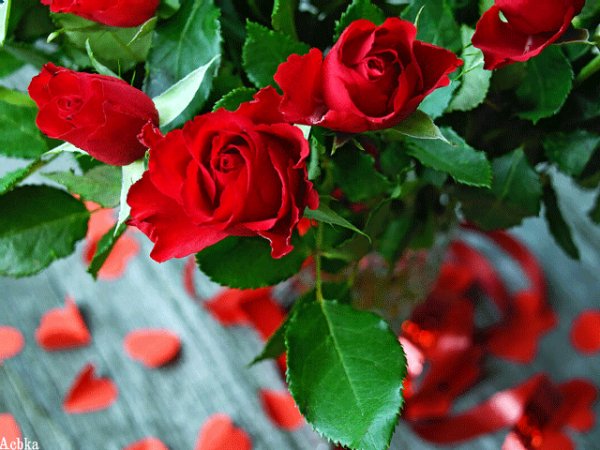file_97382331