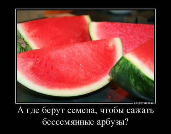 file_69978700