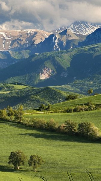 file_99309230