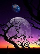 file_234309