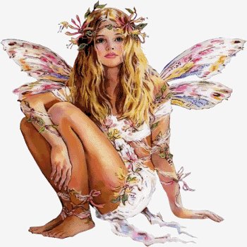 Fairy1