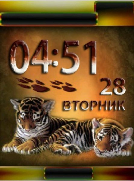 Тигры
