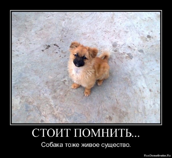 Стоит помнить