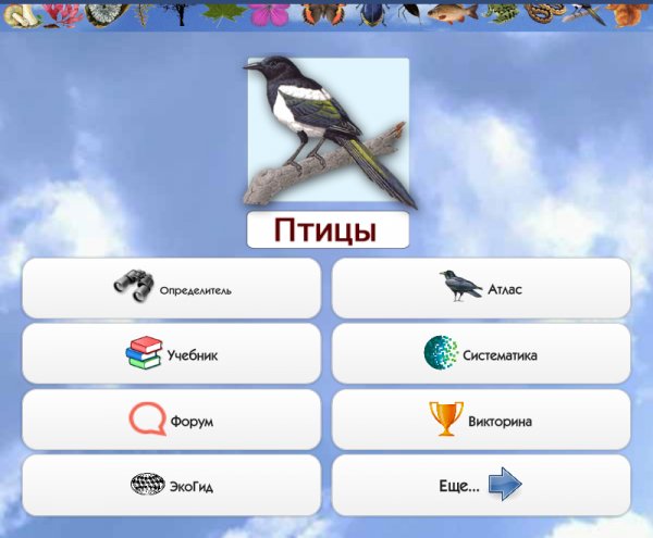 Птицы и Голоса 3.04