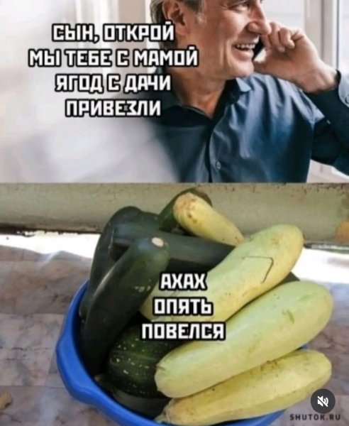 file_103294834
