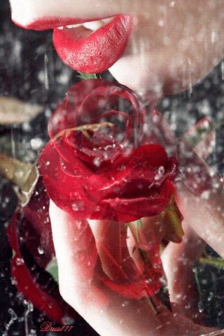 file_52920807