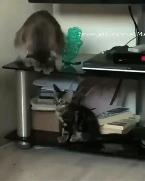 IMG 20180813 203003