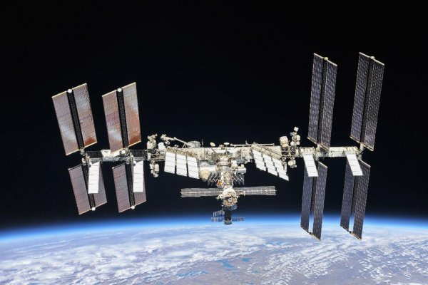 Orbit