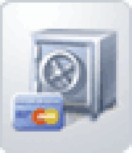 Handy Safe Pro v.1.00