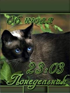 киссссс