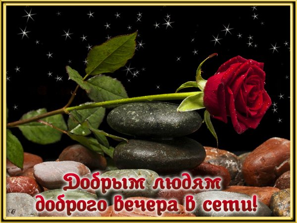 file_72097329