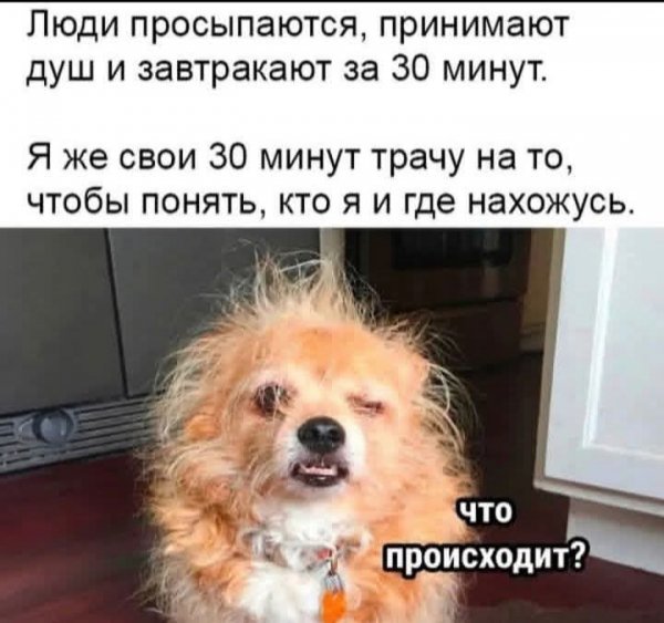FB IMG 1778146888486