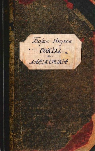 4. Сокол и Ласточка