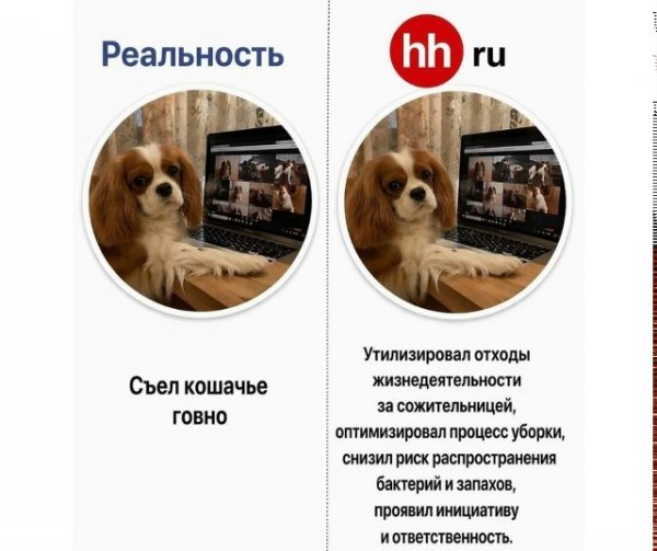 file_102583883