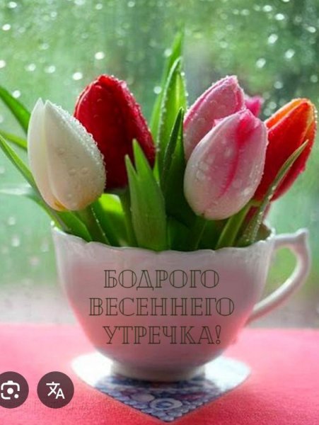 IMG-20260514-WA0001