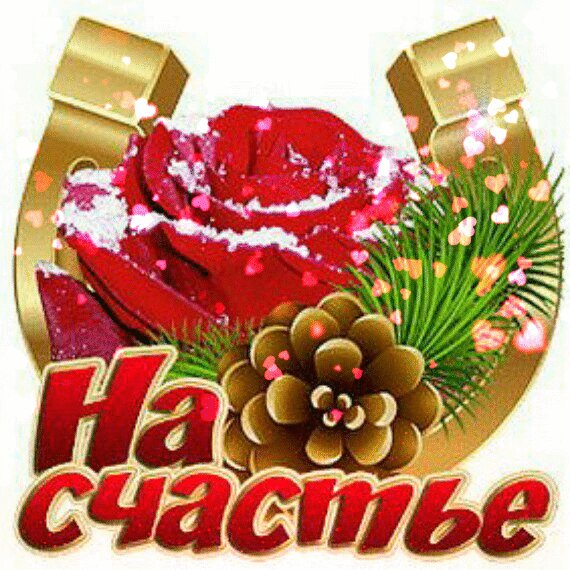 IMG 20200113 180648
