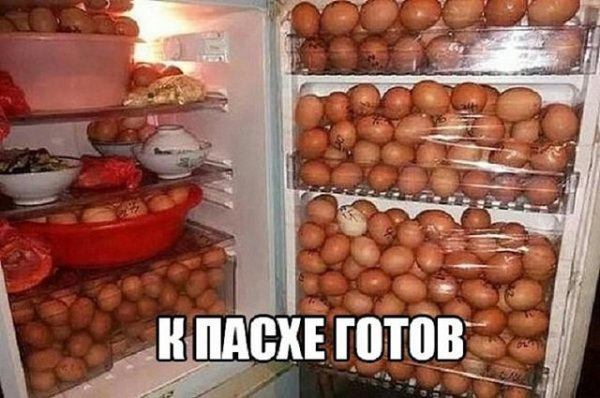 file_95798546