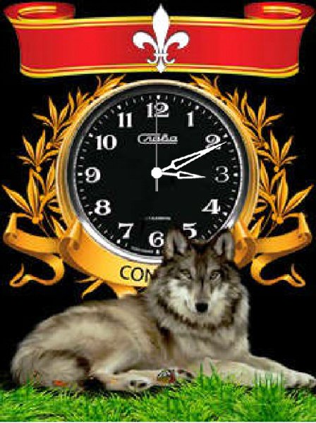 Волк