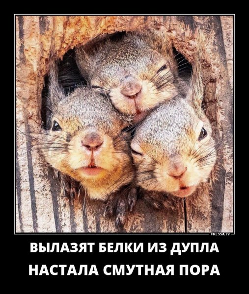IMG 20190830 203920 585