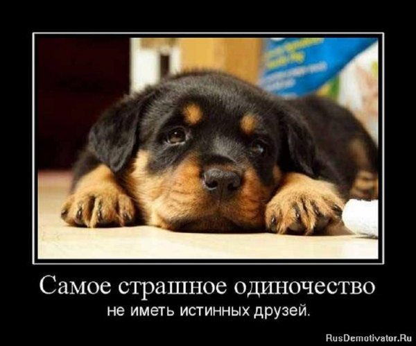 Самое страшное одиночество
