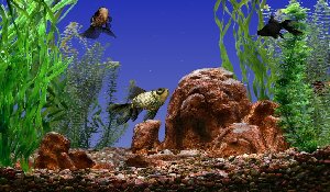 GoldfishAquarium-V1