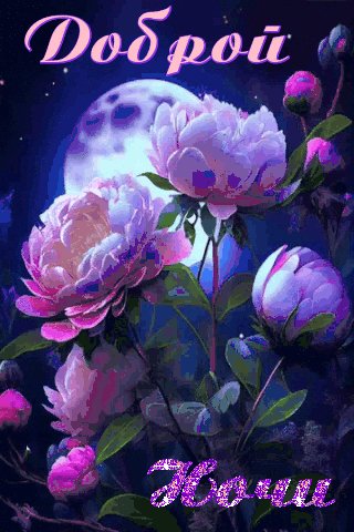 file_102208984