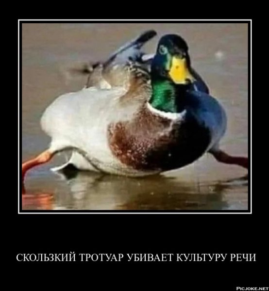 Скользкий тротуар убивает культуру речи!