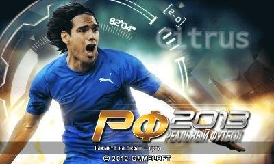 RealFootball2013 RUS Samsung 480x800