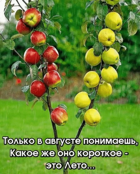 file_97531615